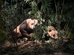 -天津自然博物馆