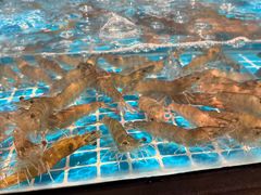 -吕氏疙瘩汤·新鲁菜(济南万象城店)