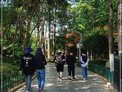 -西安市长乐公园