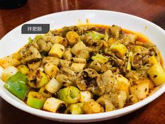 -巷子肥肠(科华巷店)