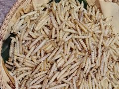 -银生食府·普洱菜(金星店)