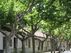 -冶山国家矿山公园