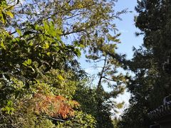 -狼山风景名胜区