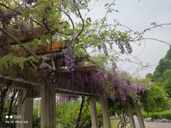 -幕燕滨江·长江观音景区