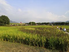 -光明小镇欢乐田园