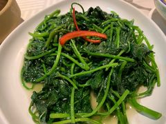 -石头咕(葵蓬店)