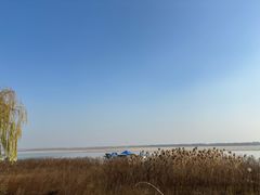 -洪湖湿地生态园