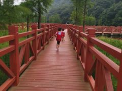 -广州市石门国家森林公园