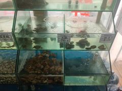 -雅逸居海鲜小厨