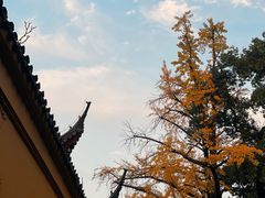 -西园戒幢律寺