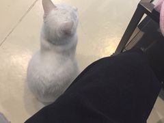 -雨林宠物医院 非犬猫异宠专科