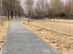 -北坞公园