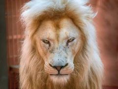 -汉堡王(北京通州领展店)