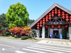 -铁山坪森林公园