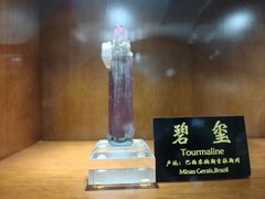 -青岛德国总督楼旧址博物馆