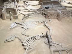 -洛阳周王城天子驾六博物馆