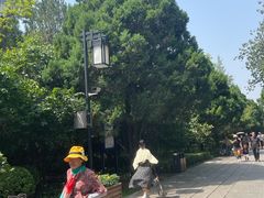 -迎泽公园