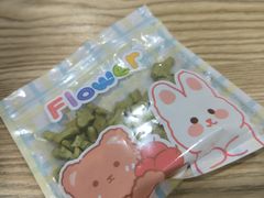 -楼上猫咖(罗湖店)