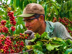 -五洲皇冠巴西烤肉餐厅