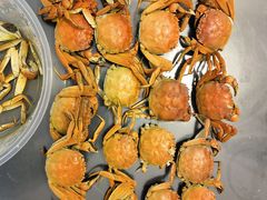 -大酒缸(高碑店文化新大街店)