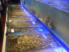 -必点海鲜·鲅鱼水饺(鞍山西道店)