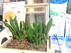 -杏记甜品(玫瑰花园店)