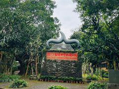 -海口火山口国家地质公园