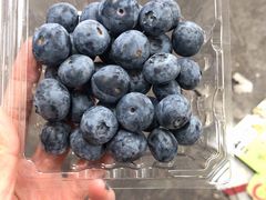 蓝莓-上海龙吴水胜海发市场
