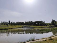 -两河城市森林公园