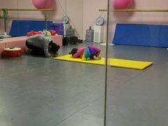 -舞研舞蹈培训(魏公村校区)