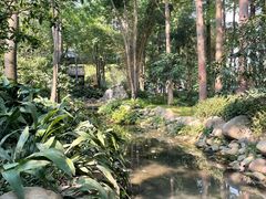 -成都市活水公园