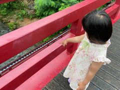 -羊山湖公园