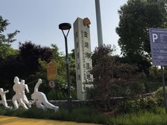 -贡湖湾湿地公园