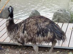 -新疆天山野生动物园