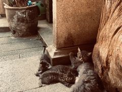 -老屋咖啡