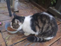 -有才叔的小馆(招商依云曲江店)