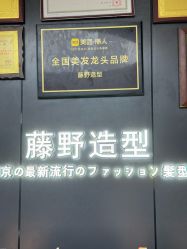 -藤野造型