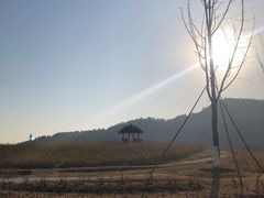 -径山花海