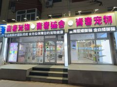 -青奢宠物·青奢猫舍