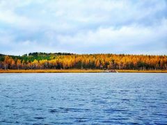 -塞罕坝国家级自然保护区