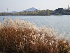 -羊山湖公园