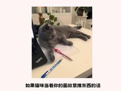 -爱侣宠医·鹦鹉专科·小型哺乳类·异宠专科(灵石路店)