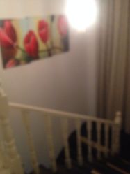 iphone_upload_pic-唯伊美塑身美养连锁