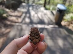 -崂山巨峰游览区