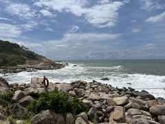 -广东惠东海龟国家级自然保护区