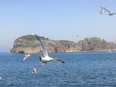 -海驴岛(荣成市)
