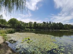 -北坞公园