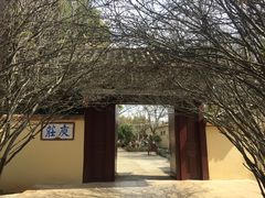 -庾园