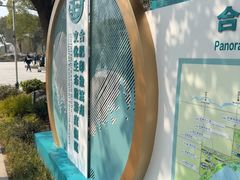-合肥滨湖国家森林公园