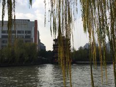 -运河游船(武林门码头)